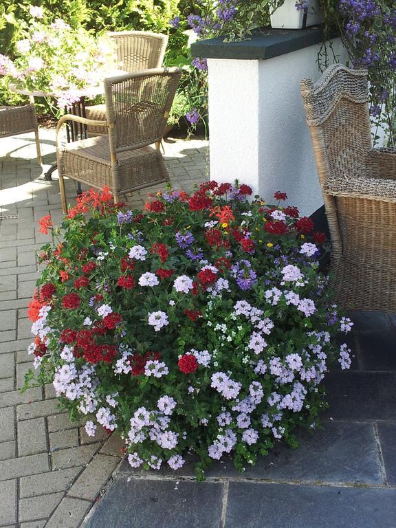 Bed and Breakfast De Witte Molen Kranenburg Краненбург Экстерьер фото